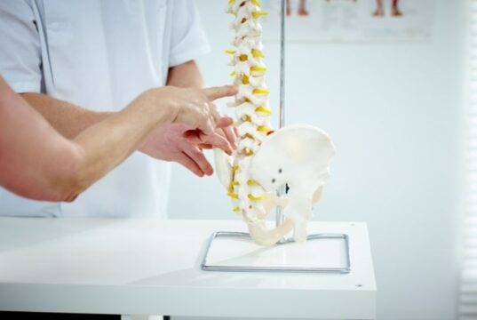 Timepris kiropraktor